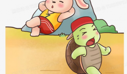龟兔赛跑漫画,智慧与骄傲的较量